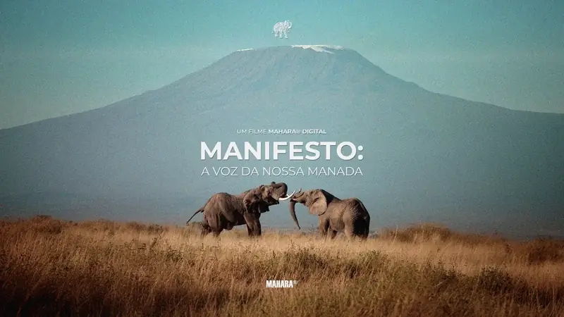 Manifesto Mahara