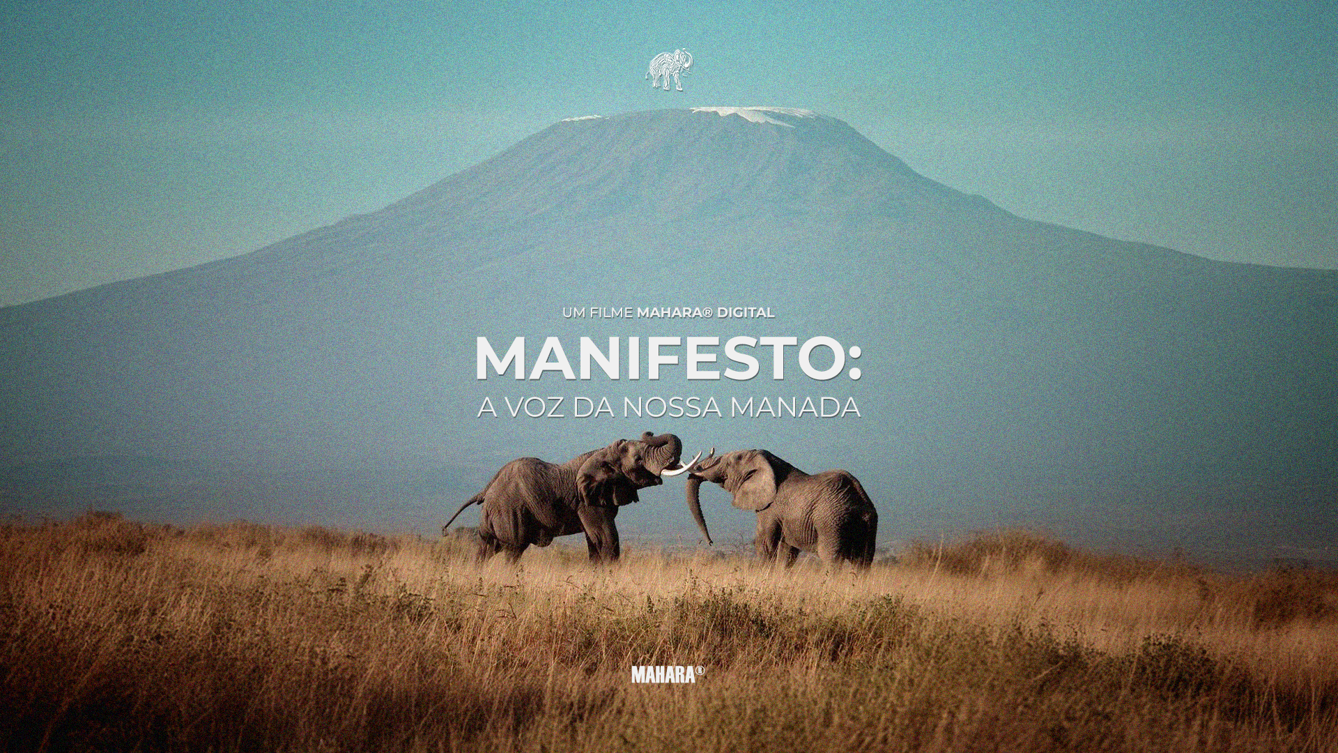 Manifesto Mahara