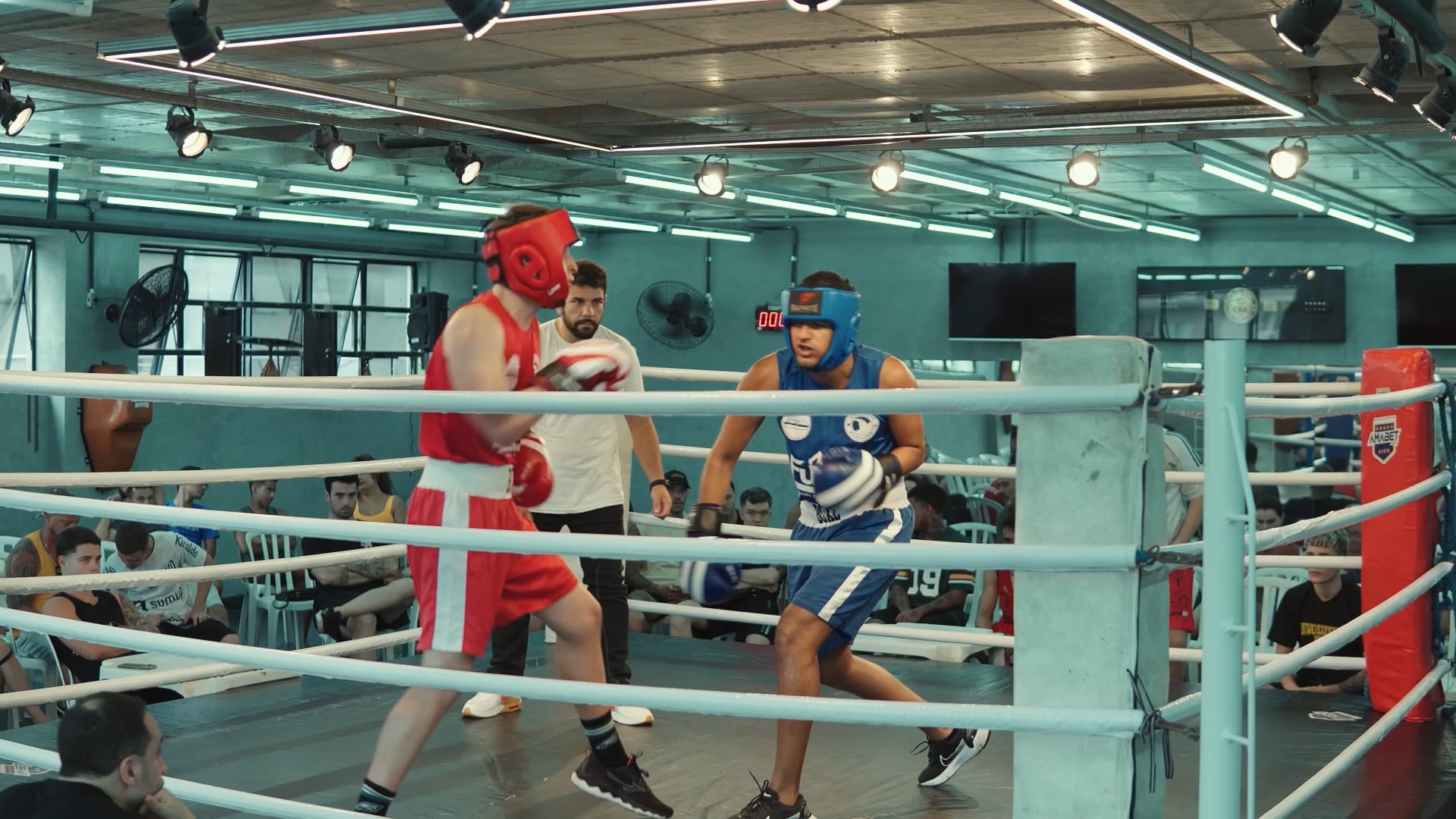 Boxe Evolution